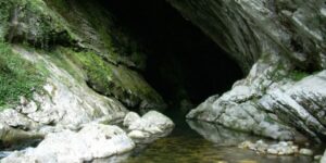 Visitas Parque Natural de Redes