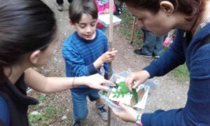 actividades didácticas en la naturaleza