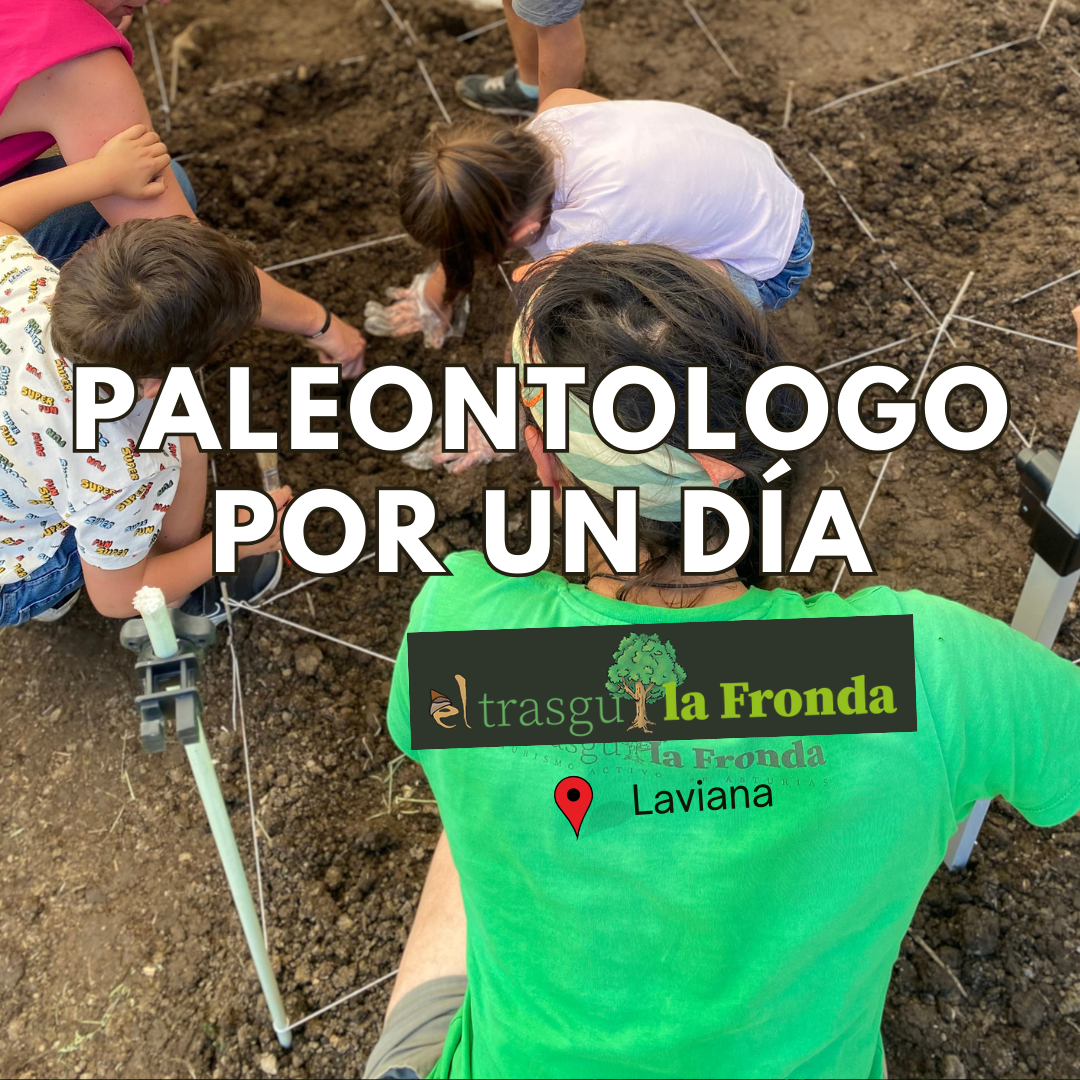 Paleontólogo por un día una actividad para niños