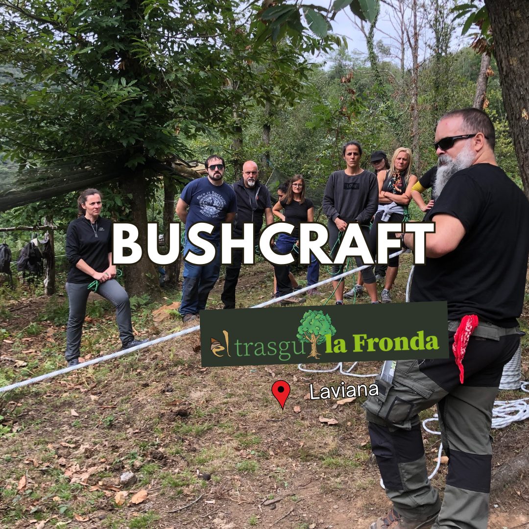 Taller de bushcraft técnicas de supervivencia en el bosque