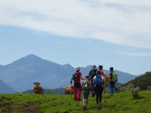 Ruta culturales por la naturaleza de Asturias