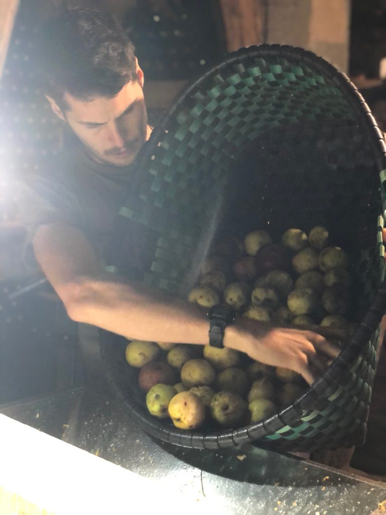 Elaboración de sidra