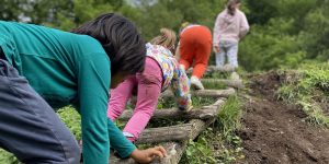 Bosque escuela campamento urbano en la naturaleza
