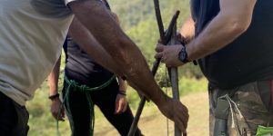 Habilidades para sobrevivir en la naturaleza, bosque escuela acompañantes