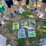 taller al aire libre de identificación de mariposas