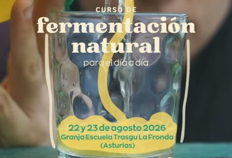 Curso de fermentación natural kefir