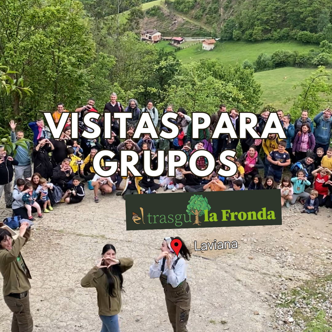 visitas granja escuela en asturias para asociaciones ampas y agas