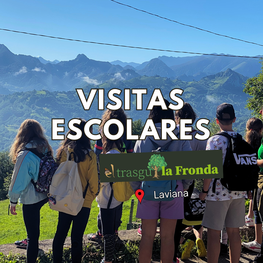 Visitas escolares a la casa natal del escritor asturiasno