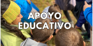 apoyo escolar educativo