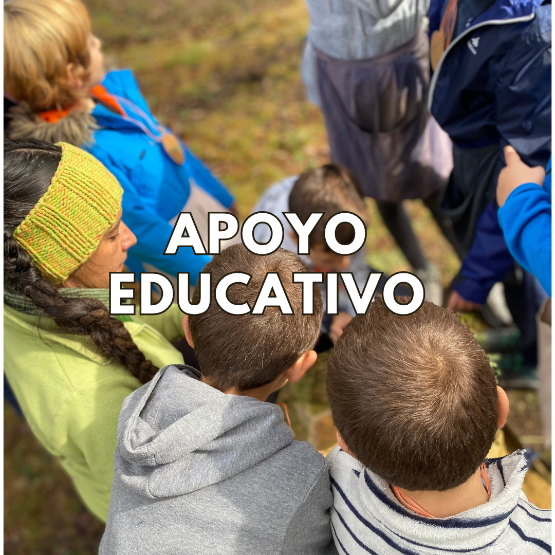 apoyo escolar educativo