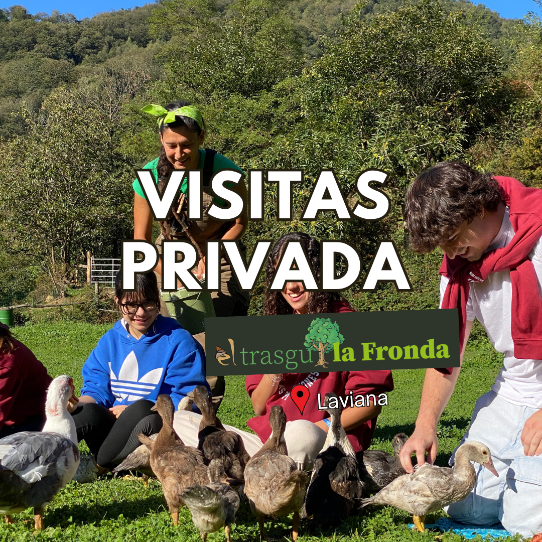 visitas privadas para grupos en la granja