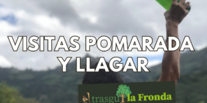 visitas a un llagar en asturias