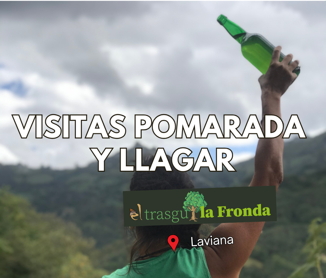 visitas a un llagar en asturias